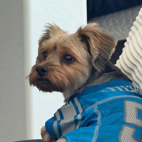 Meet your Posher, Michelle - Picture 4 of 7